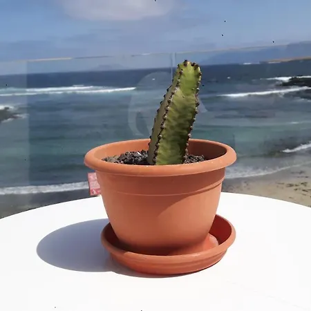Апартаменты Caleta Caballo